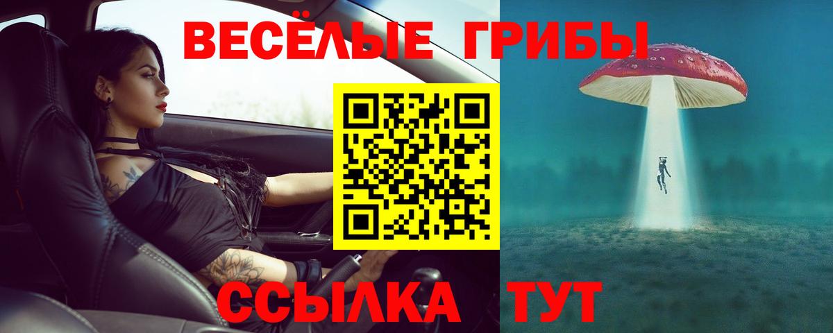 Псилоцибиновые грибы Psilocybine cubensis Ртищево